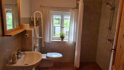 un bagno con lavandino, water e finestra di Ferienhaus am Mühlteich a Rietschen