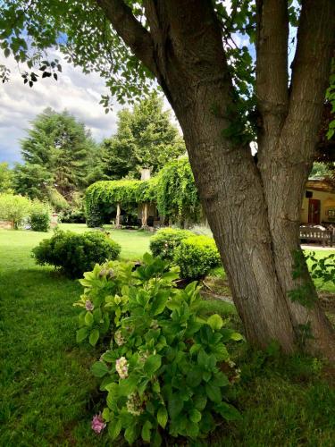 LOS GUARDIANES LODGE – Photos 2