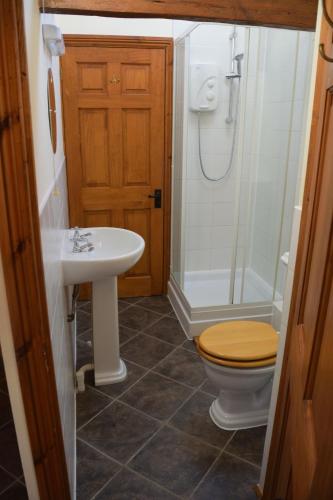 a bathroom with a toilet and a sink and a shower at Duckpool Cottage in Bideford