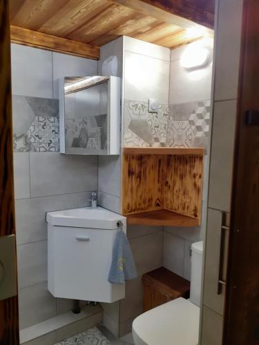 une petite salle de bain avec toilettes et lavabo dans l'établissement Esprit Myrtille Balcon Vue lac, à Gérardmer