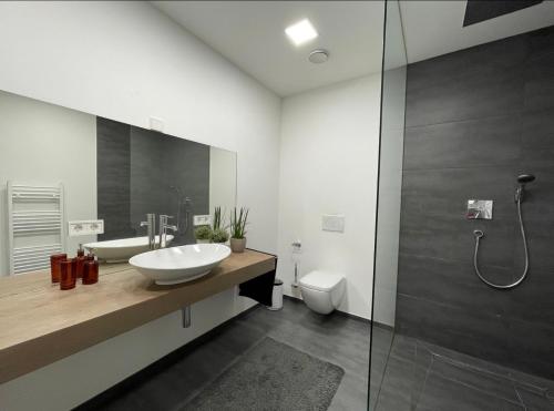 a bathroom with a sink and a toilet and a shower at Modernes Apartment mit wunderschonem Rheinblick in Urmitz