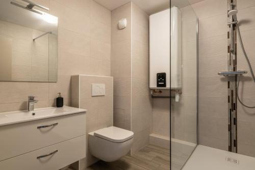 uma casa de banho com um WC e uma cabina de duche em vidro. em Studio centre historique, place de la réunion em Mulhouse