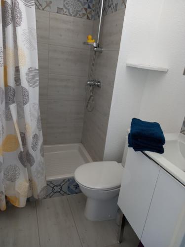 une salle de bain avec toilettes et douche dans l'établissement Le Sopraland 419, T2 climatisé, piscine, parking, au Cap d'Agde