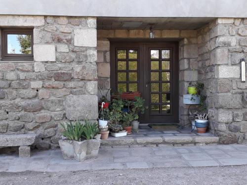 a front door of a stone house with potted plants at Chambre de la baronne de Rochegrosse in Saint-Maurice-en-Gourgois