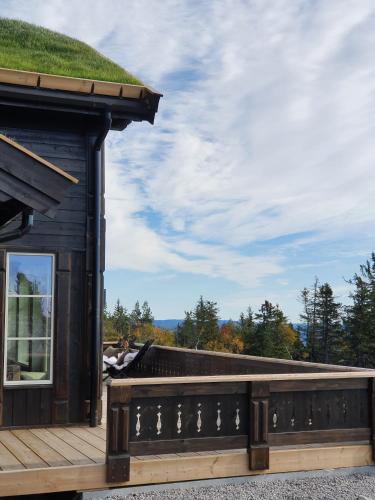 a house with a grass roof and a deck at Beautiful cabin at Lifjell perfectly located for hiking and skiing with sauna in Bø