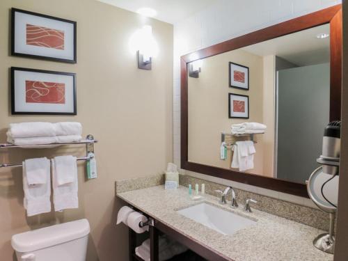 a bathroom with a sink and a toilet and a mirror at Comfort Suites Marietta-Parkersburg in Marietta