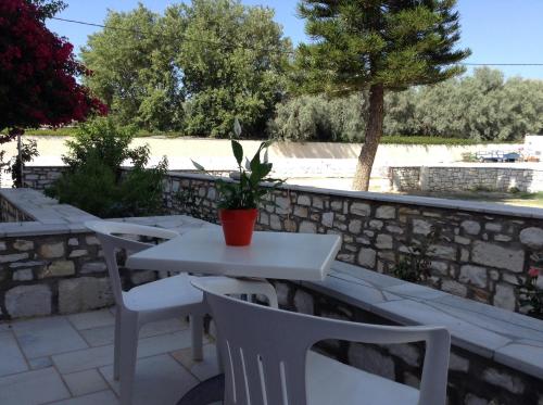 Gallery image of Irene Hotel - Beachfront in Parikia