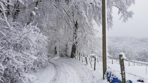 a snow covered road with trees and a fence at Sonnenschein am Rursee in Simmerath