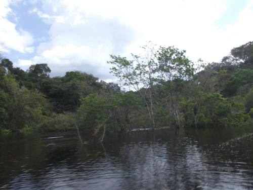 a body of water with trees in the background at Amazon Arowana Lodge in Careiro