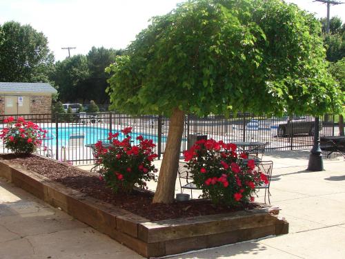 Vaizdas į baseiną apgyvendinimo įstaigoje American Inn North Kansas City arba netoliese