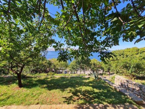 Apartments Petko – Photos 2