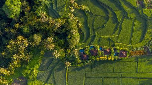 an overhead view of a field with trees and houses at Madani Antique Villas in Ubud