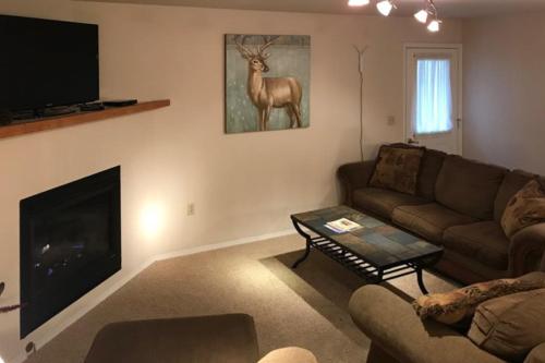 TV a/nebo společenská místnost v ubytování Prairie Creek Condo