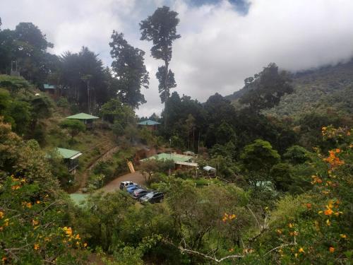 a view of a hillside with trees and houses at Las Cataratas Lodge in San Gerardo de Dota