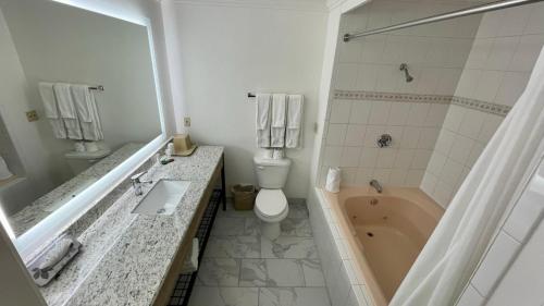 a bathroom with a tub and a toilet and a sink at Yosemite View Lodge in El Portal