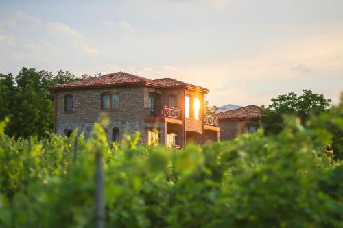 Photo de la galerie de l'établissement Schuchmann Wines Château,Villas & SPA, à Telavi