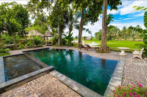 a swimming pool in a backyard with a table and benches at Umasari Rice Terrace Villa by AGATA in Tabanan
