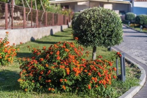 Κήπος έξω από το Villa Marko