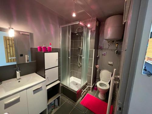 ein Badezimmer mit Dusche, Toilette und Waschbecken in der Unterkunft Orcieres - Studio au pieds des pistes in Orcières