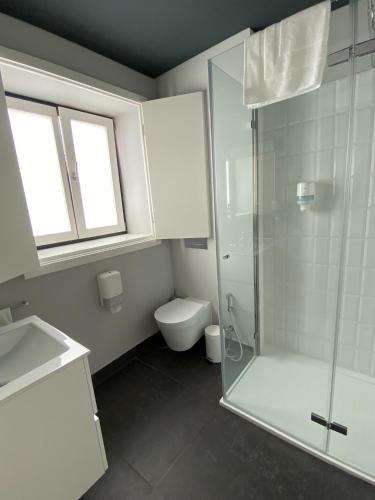 a white bathroom with a shower and a toilet at Villa Graça -Hostels and Apartments in Santarém