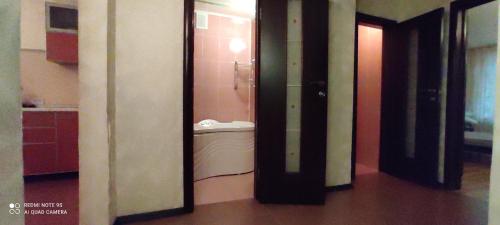 ニジニ・ノヴゴロドにあるУютные апартаменты на Родионоваのバスルーム(洗面台、トイレ付)が備わります。
