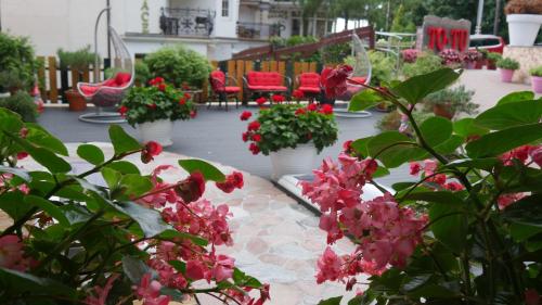a group of flowers in white pots on a patio at To Tu in Mrągowo