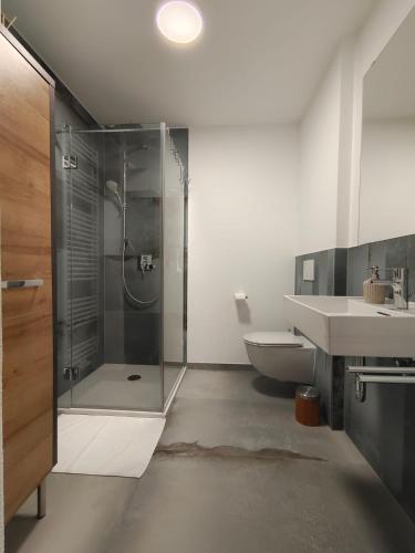 a bathroom with a shower and a toilet and a sink at Ferienhaus Theodor OG in Laufen