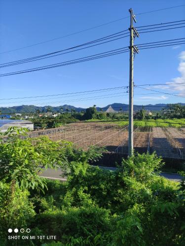 a view of a vineyard from a window at Jiji Village Villa B&B in Lugu Lake