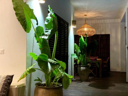 Fotografie z fotogalerie ubytování Joya' Beach Suites & Villa v destinaci Jambiani
