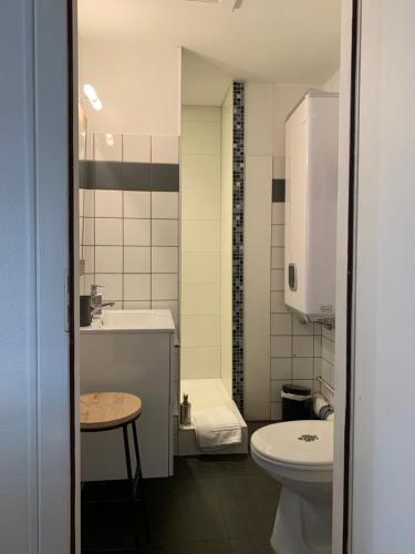 a small bathroom with a toilet and a sink at Coquet Studio Colmar Centre in Colmar