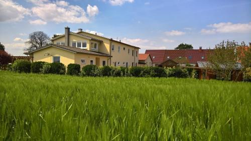 ein Haus auf einem hohen grünen Rasen in der Unterkunft Zur Schwedenschanze 2 in Hohen Wieschendorf