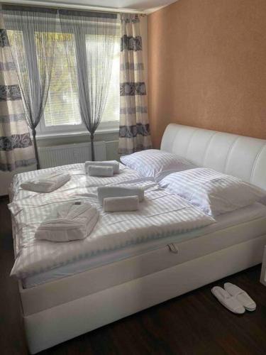 Luxury apartment in city center