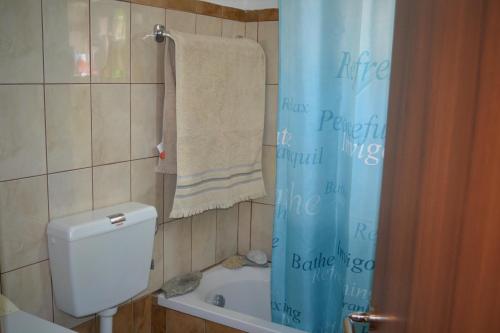 Ένα μπάνιο στο Elati Mansion