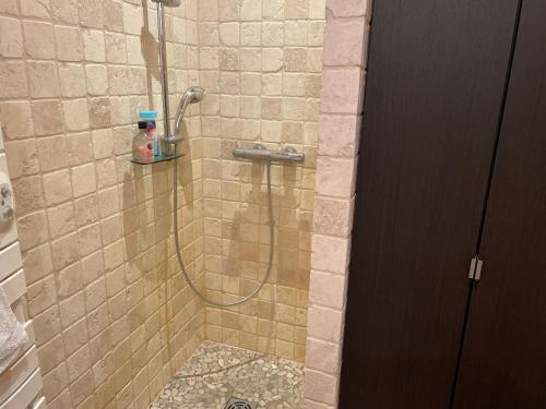 a shower with a hose in a bathroom at Studio 1 pièce situé dans un chalet in Beaufort