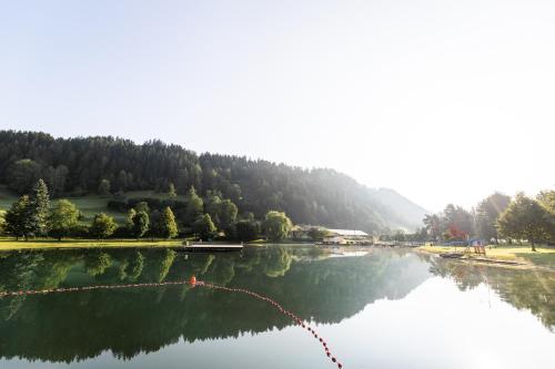 a body of water with trees in the background at Chalets am Badesee Lassing in Lassing