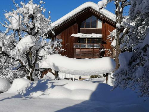 a log cabin in the snow with snow covered trees at Appartements Duengler in Schruns-Tschagguns