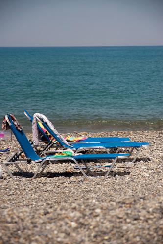 Φυσικό τοπίο κοντά σε αυτό το ξενοδοχείο