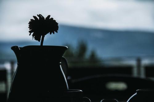 a silhouette of a vase with a flower in it at Campo Felice Experience in Rocca di Cambio