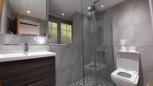 a bathroom with a toilet and a sink and a shower at Ty Gwyn Hotel in Betws-y-coed