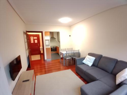 salon z kanapą i telewizorem w obiekcie Apartamento Ana Elgoibar con garaje w mieście Elgoibar