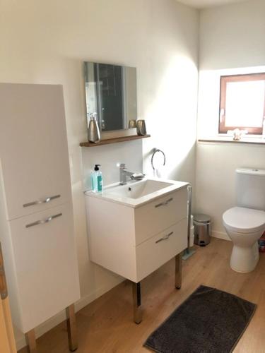 une salle de bain avec un lavabo blanc et des toilettes dans l'établissement Les Roches, à Vanzay