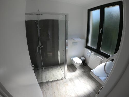 a bathroom with a shower and a toilet at Băile Puturoasa in Vama