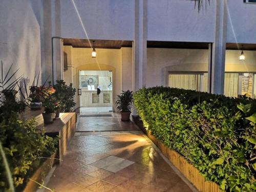 a hallway with potted plants in a building at La Luna Blanca in Torremolinos