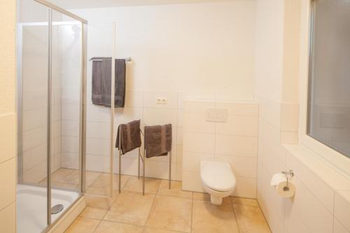 a bathroom with a toilet and a shower at Kiefer-Apartments in Rust