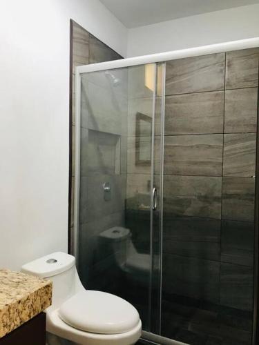 a bathroom with a toilet and a glass shower at Adorable Casita w/Estuary & Ocean Views in Ensenada