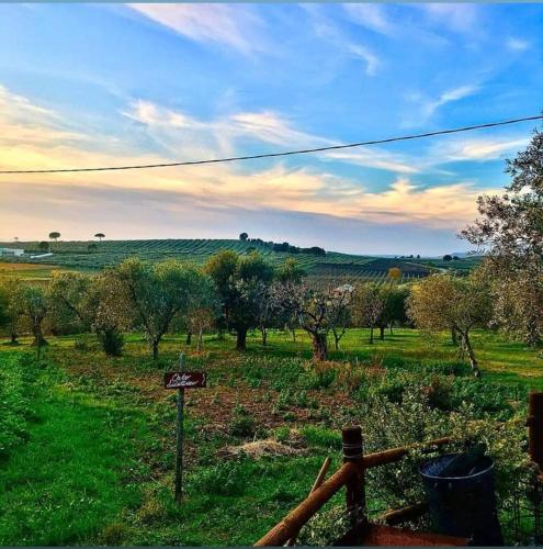 a view of a field with trees and a fence at FATTORIA ROVELLO in San Paolo di Civitate