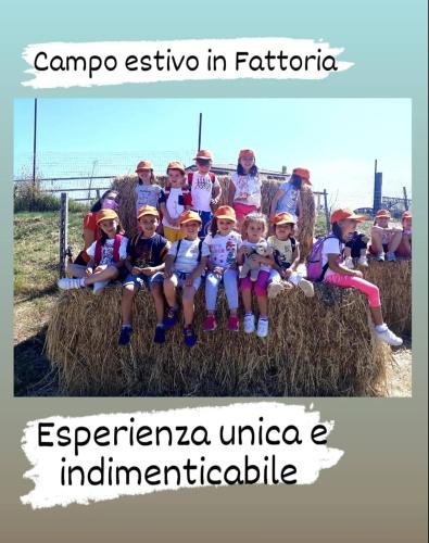 a group of children sitting on a hay bale at FATTORIA ROVELLO in San Paolo di Civitate