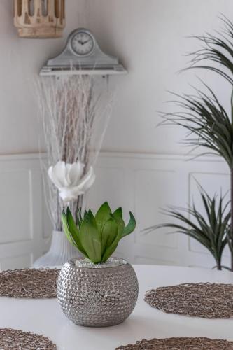 a table with a vase with a plant on it at Anoud Manor in Hout Bay