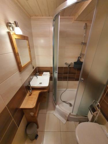 a bathroom with a shower and a sink and a toilet at Apartamenty góralskie MICHNIAK in Dzianisz