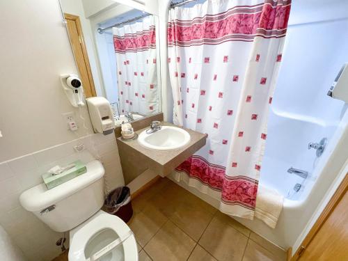 a bathroom with a toilet and a sink and a shower at Lake Bluff Inn and Suites in South Haven